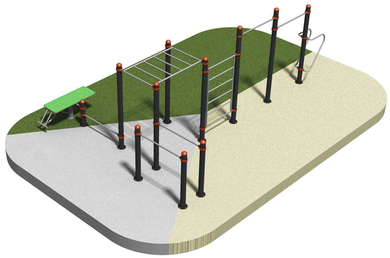 Calisthenics Park 2010